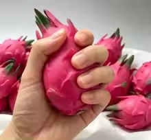 Handmade Simulation Pitaya Bui - Building Blocks review and price